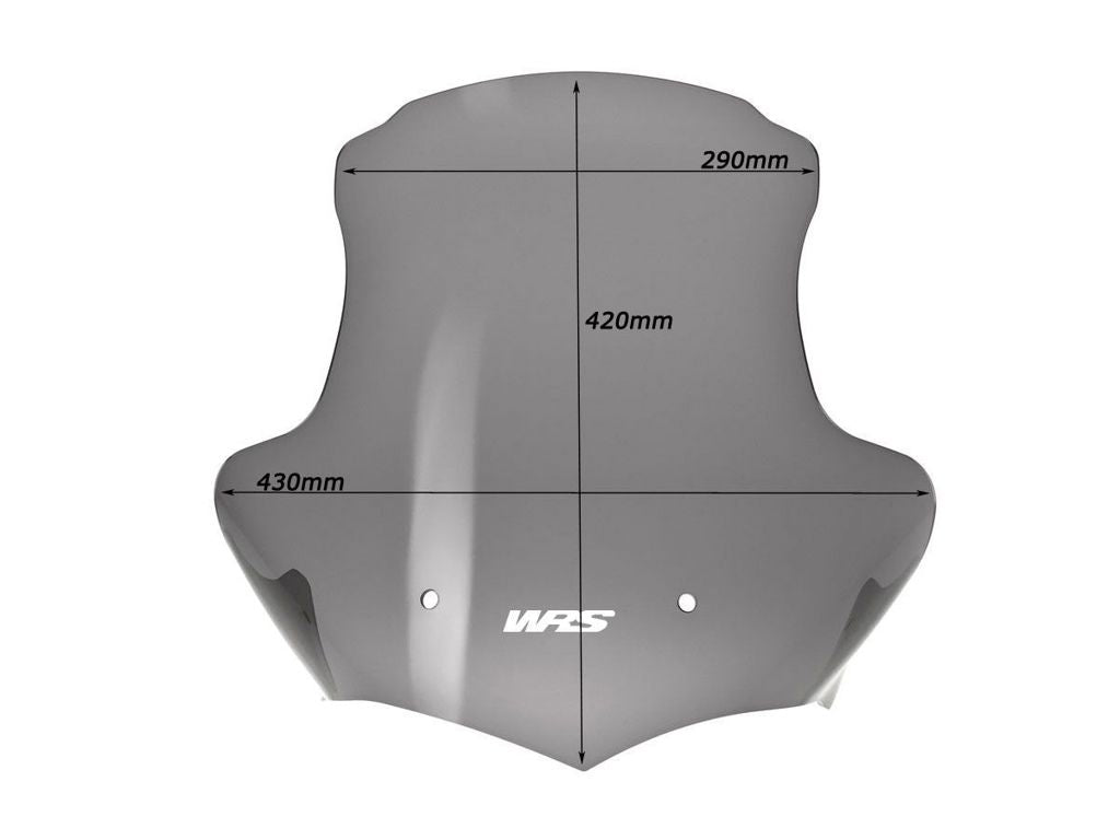 Vervangingsruit Touring WRS BMW K1200R '05-08 / K1300R '09-16 licht getint
