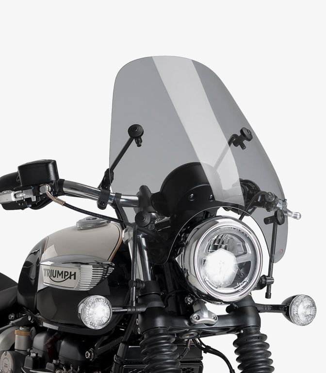 Windscherm Model Custom I Licht Getint Puig