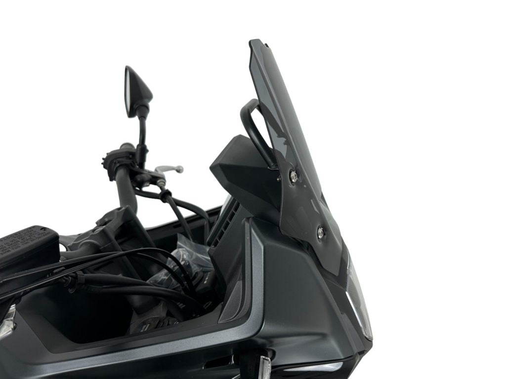 WRS WINDSCREEN SPORT - Transparant / Mat Zwart en meer