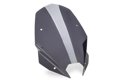 Puig Windscherm - BMW M1000R 2025-2026 | BMW S1000R 2025-2026 - touring Transparant