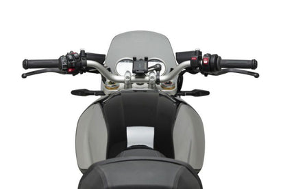 Vervangingsruit Naked Bike Sport Puig Bmw R12 / R12 Ninet '24-