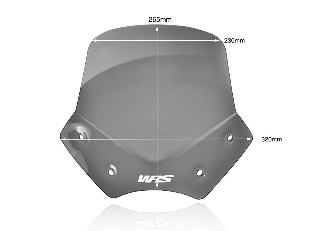 WRS Windscherm - BMW R1200R 2010-2014 - Sport - Transparant / Mat Zwart en meer