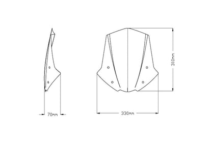 Vervangingsruit Naked Bike Sport Puig Triumph Street Triple S '20- / 765Rs '20-